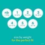 Pampers Baby Dry Diapers, Sizes 1-6