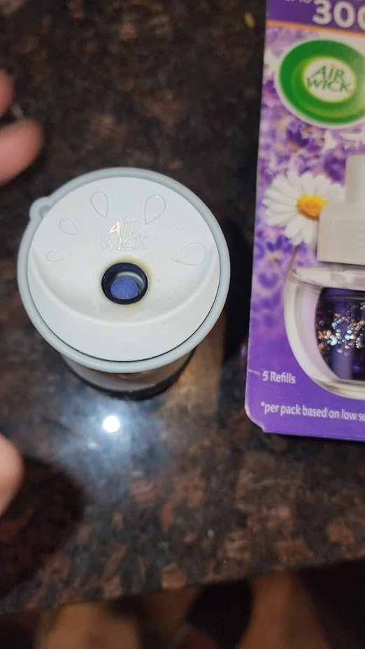 Image #1 from Isabella Kingsley