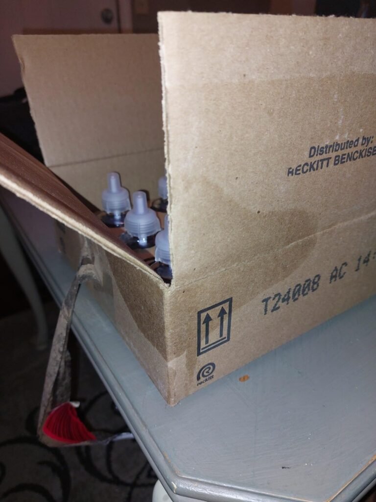 Image #2 from Isabella Kingsley