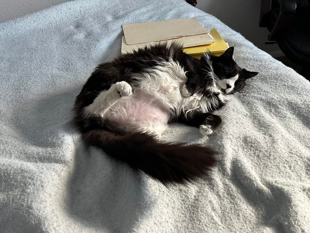 Image #2 from Chad Brown