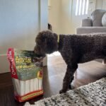 Canine Chews Premium All-Natural Beef Hide Canine Retrievers, 15 ct.