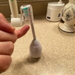 Philips Sonicare E Series Replacement Brush Heads, 8 pk.