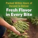 Del Monte Fancy Cut Green Beans, 101 oz.