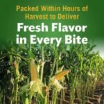 Del Monte Whole Kernel Corn, 106 oz.