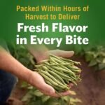 Del Monte Cut Green Beans, 14.5 oz., 8 pk.