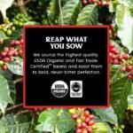 Death Wish Organic Dark Roast Ground Coffee, 34 oz.