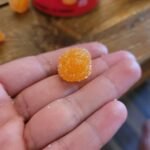 Qunol CoQ10 100 mg. Gummies, Creamy Orange 175 ct.