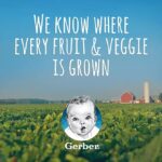 Gerber Toddler Pouch Variety Pack 3.5 oz., 12 ct.
