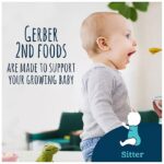 Gerber 2nd Foods Fruit & Veggie Variety Pack, 30 ct., 120 oz.