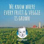 Gerber 2nd Foods Fruit & Veggie Variety Pack, 30 ct., 120 oz.