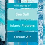 Glade PlugIns Scented Oil Refills, Aqua Waves, 9 refills