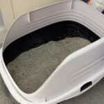 Fresh Step, Extra Strength Multi-Cat Scented Clumping Litter, Febreze Fresh Scent, 42 lbs.