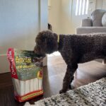 Canine Chews Premium All-Natural Beef Hide Canine Retrievers, 15 ct.