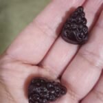 Nature’s Way Sambucus Elderberry Gummies, 120 ct.